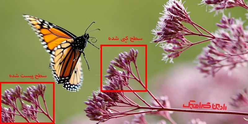 delete part pf the photo2