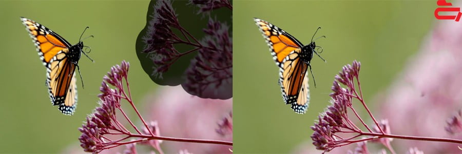 حذف قسمتی از عکس در فتوشاپ