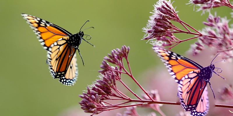 حذف قسمتی از عکس در فتوشاپ