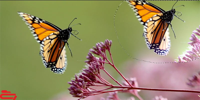 حذف قسمتی از عکس در فتوشاپ